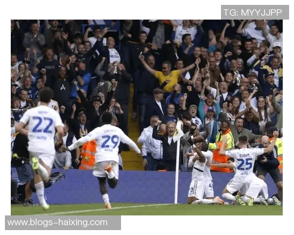 伯明翰与利兹联精彩对决录像回放分析及赛后点评